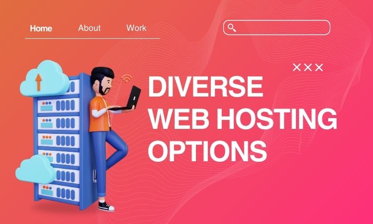 Diverse Web Hosting Options