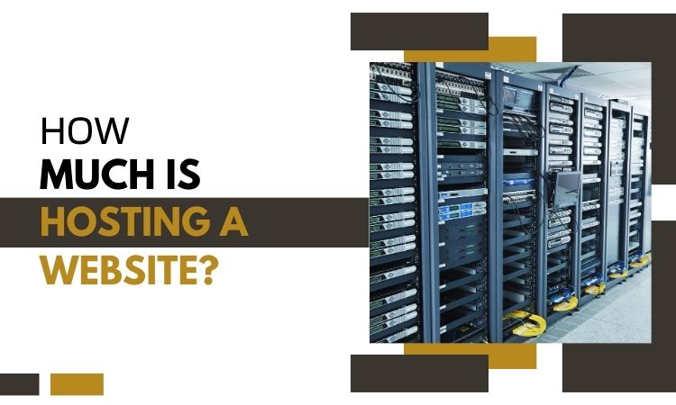 How much is hosting a website